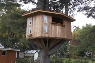 будиночок на дереві