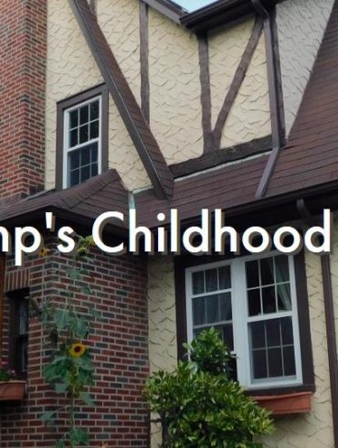 будинок Трампа, дом Трампа