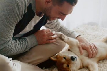 АН Воррена Баффета, АН Уоррена Баффета